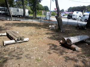 �⡼�ӥ�ȥ�٥顼���ɥå����