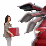 ���Х� ���� �ե��쥹���� �ѥ��䥲����