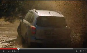 FORESTERWASH 01