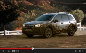 FORESTERWASH 03