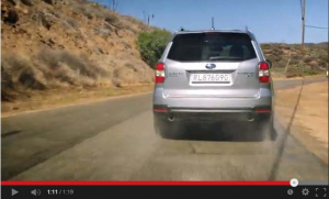 FORESTERWASH 09