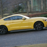Mustang_087