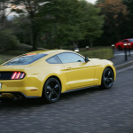 Mustang_100