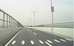 卵型の表示