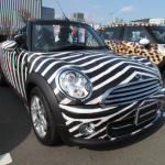 MINI10ǯ٥ȥ饫13