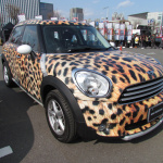 MINI10ǯ٥ȥ饫12