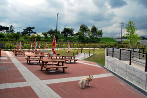 ƻ�αءؤ��Ф����