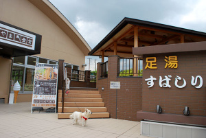 ƻ�αءؤ��Ф����­��