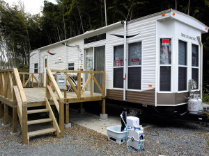 �⡼�ӥ�ȥ�٥顼�����ե���