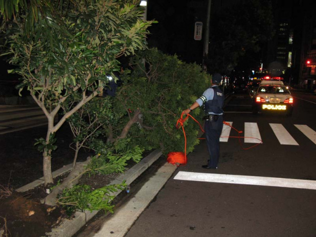 「台風15号が関東直撃！緊急駐車は倒木に注意！」の3枚目の画像