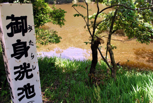 白兎神社　御身洗池（鳥取県）