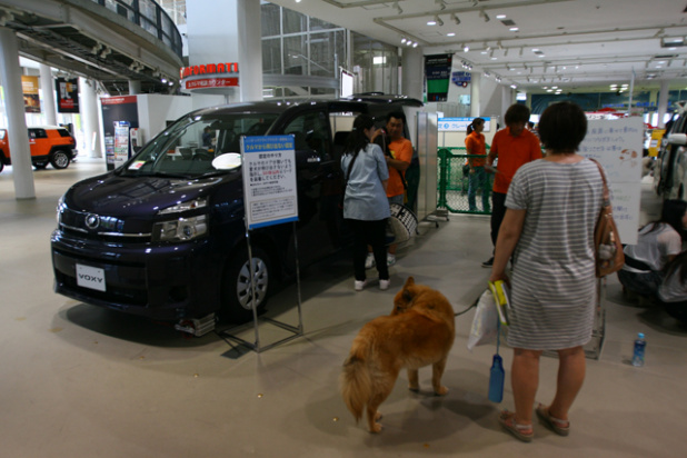 「トヨタが犬とクルマのカーライフを提案！　DOGサークルがスタート」の1枚目の画像
