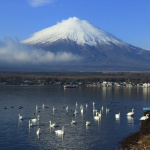 世界遺産「富士山」登録に向けて、河口湖周辺でオススメのドライブスポット - 02