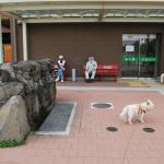 「祝！世界遺産!! 美味しい水をお持ち帰り、富士山の伏流水が汲める道の駅」の2枚目の画像ギャラリーへのリンク