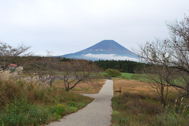 「祝！世界遺産!! 富士山が見える道の駅」の3枚目の画像