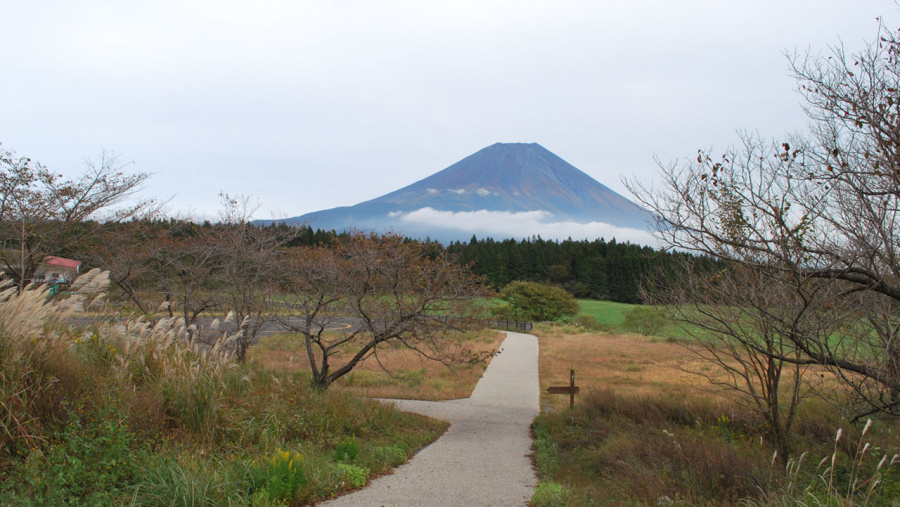 祝 世界遺産 富士山が見える道の駅 Clicccar Com