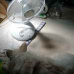 夏のドライブ 愛犬の熱中症対策 - 充電式扇風機