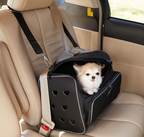 「トヨタが提案する愛犬との快適カーライフ」の13枚目の画像