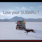 世界中でスバルが愛される理由を1分半でわかる映像 - LOVE YOUR SUBARU_31