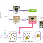金を集めるデンソーのバイオ燃料の搾りかす【CEATEC JAPAN 2013】 - denso_biofuel_panel2