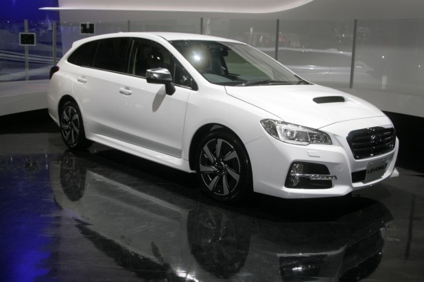 LEVORG006