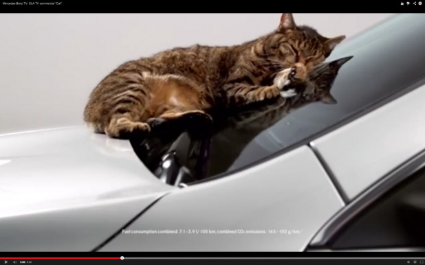 「クルマの上で昼寝するネコになにが起きた?【CM動画】」の2枚目の画像