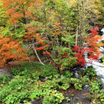 「北海道・阿寒エリアのオススメ秋の紅葉ドライブ」の5枚目の画像ギャラリーへのリンク