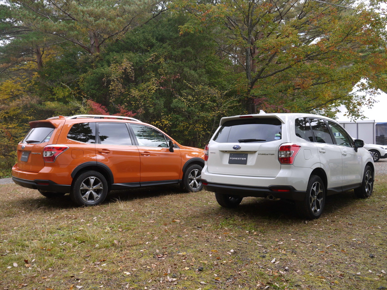 フォレスターはマイナーチェンジでも アイサイト2 のまま Clicccar Com
