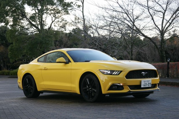 Mustang_022