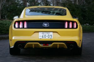 Mustang_035