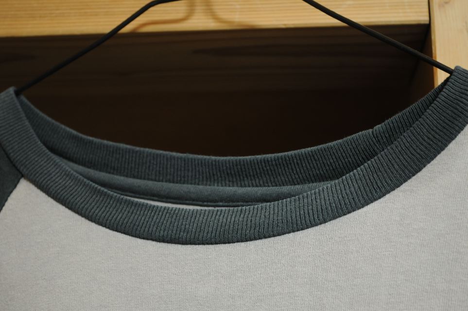 光触媒で除菌 消臭してくれるルネキャットは梅雨どきや夏場に最適だった Clicccar Com