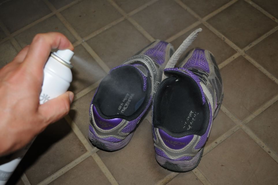 光触媒で除菌 消臭してくれるルネキャットは梅雨どきや夏場に最適だった Clicccar Com