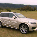 ボルボがオーストラリアで世界初の対カンガルー安全テストをスタート - Volvo Cars begins first ever Australian tests for kangaroo safety research