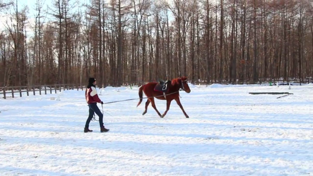 「スバル・XVで雪上（林道）を走らせるという愉しみ【動画】」の2枚目の画像