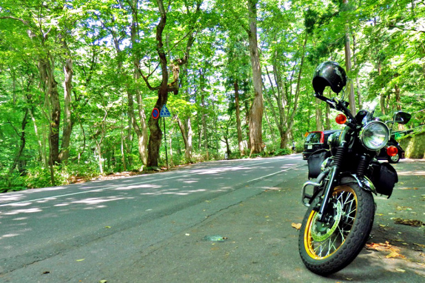 「【連載第三弾】そうだ、バイクで新緑を見に行こう！」の1枚目の画像