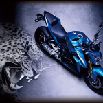「スズキのバイクを買うなら今！「GSR250・GSX-S1000」がキャンペーン中！」の3枚目の画像ギャラリーへのリンク