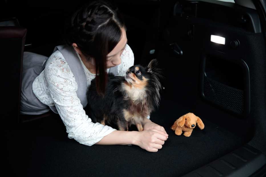 「美女とワンコとMINIクラブマンで夏の小旅行へ【梅田 悠と愛犬Ulu】」の12枚目の画像