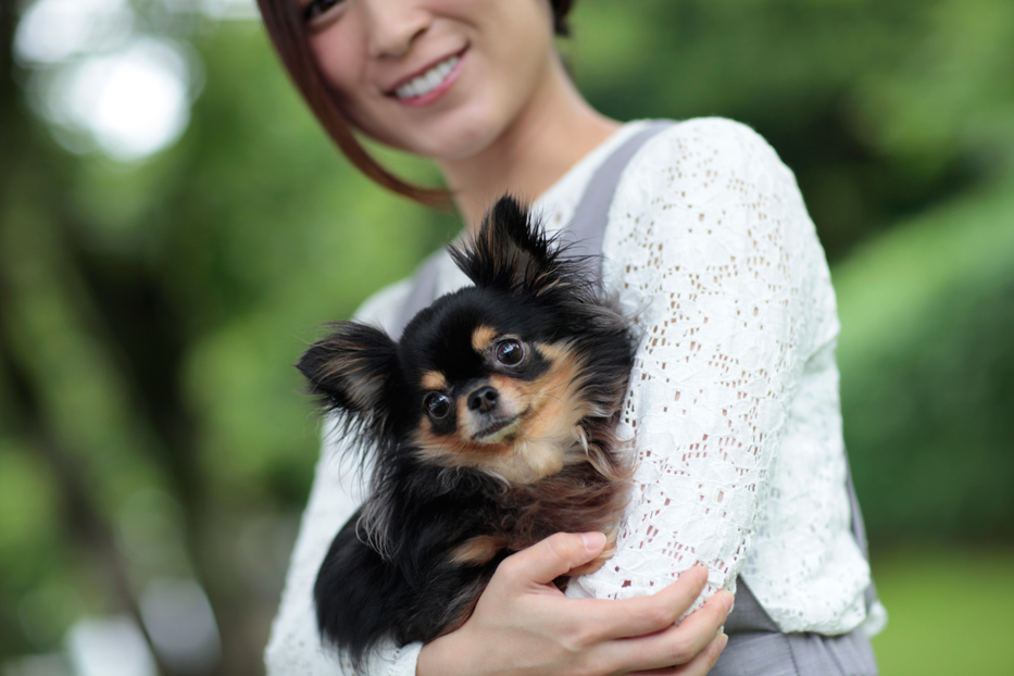 「美女とワンコとMINIクラブマンで夏の小旅行へ【梅田 悠と愛犬Ulu】」の15枚目の画像