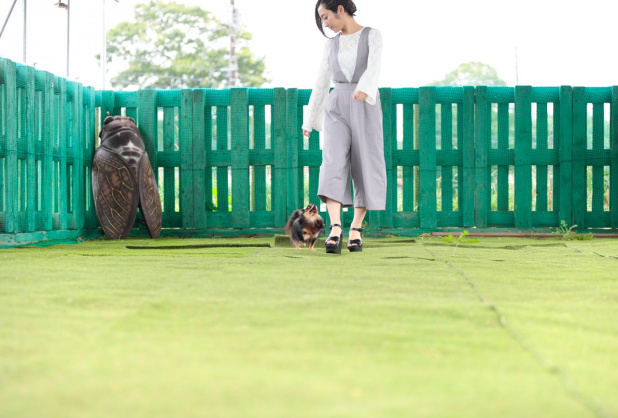 「MINIクラブマンでワンコと小旅行で貴重な天然芝ドッグラン＆日本一の落花生に遭遇【梅田 悠と愛犬Ulu】」の6枚目の画像