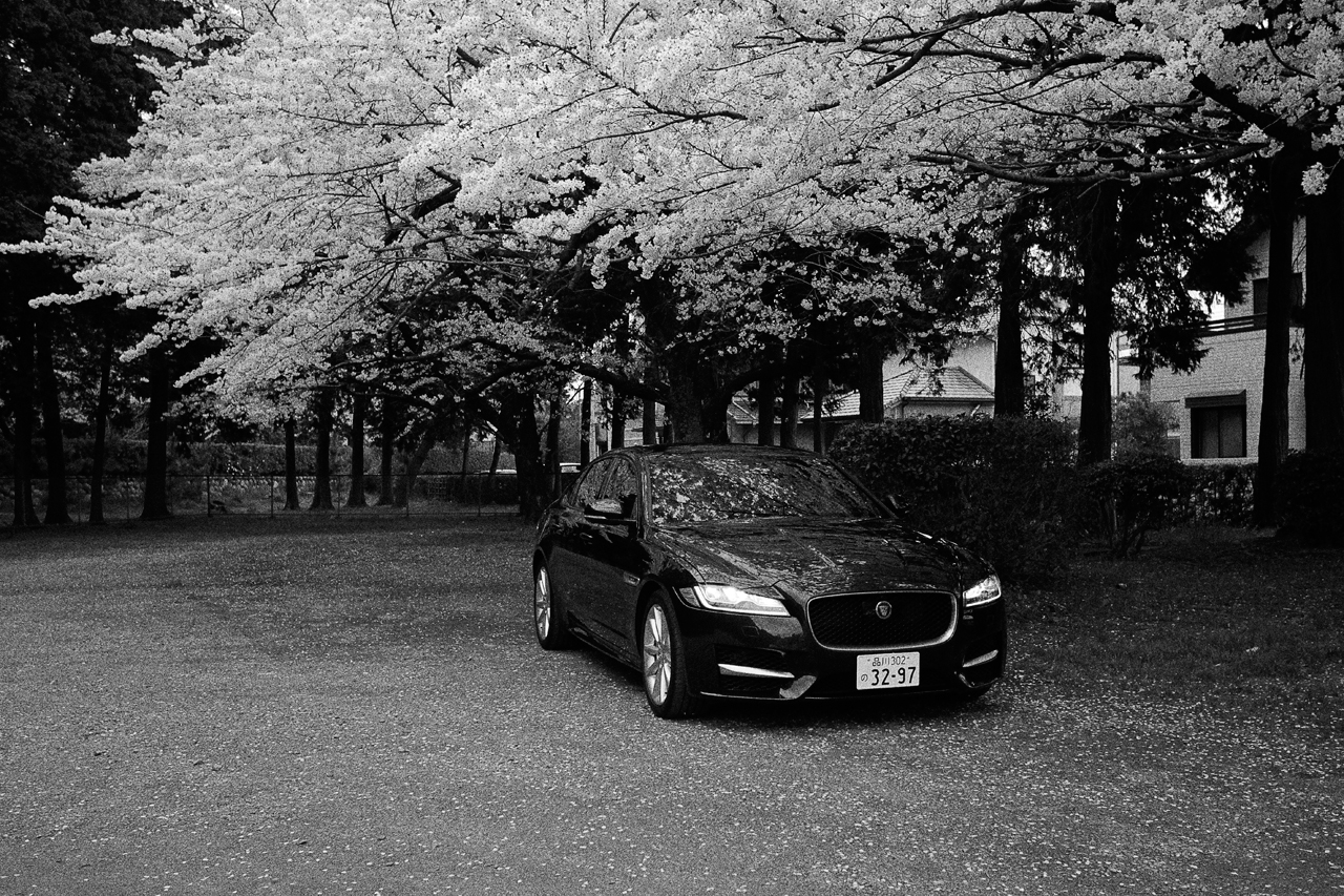 33 画像 ジャガーxfとイク クリッカー編集長の トップリーダー ドライブ Clicccar Com