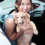 「愛犬とプジョー308 Allure BlueHDiで楽しむ妄想ドライブデート【前編】　PR」の3枚目の画像ギャラリーへのリンク