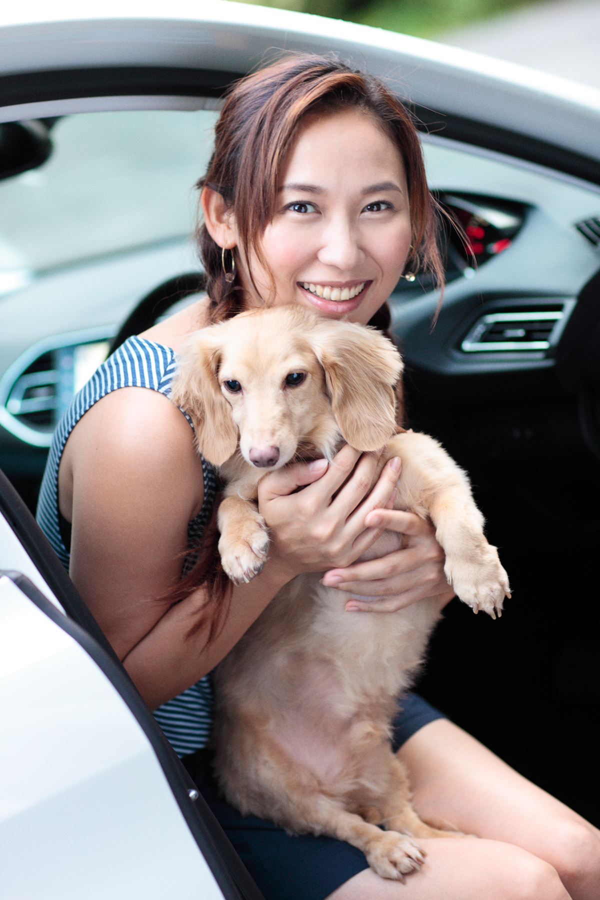 「愛犬とプジョー308 Allure BlueHDiで楽しむ妄想ドライブデート【前編】　PR」の3枚目の画像