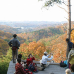 日本初！森の生態系を体感できる立体迷路「迷宮森殿ITADAKI」がツインリンクもてぎにオープン！ - 372