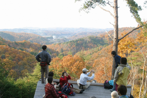 「日本初！森の生態系を体感できる立体迷路「迷宮森殿ITADAKI」がツインリンクもてぎにオープン！」の2枚目の画像