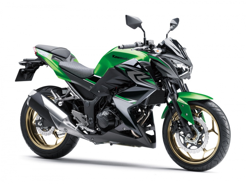 「「ちょっとバイク買ってくる」って言いたくなる!?「Kawasaki Ninja 250 ＆ Z250シリーズ」用品クーポンキャンペーン開催！」の2枚目の画像