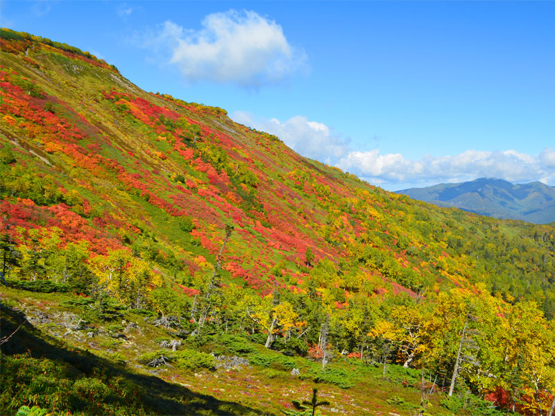 「北海道の紅葉がはじまった！ クルマで行ける紅葉スポットをご紹介します【車中泊女子の全国縦断記】」の5枚目の画像
