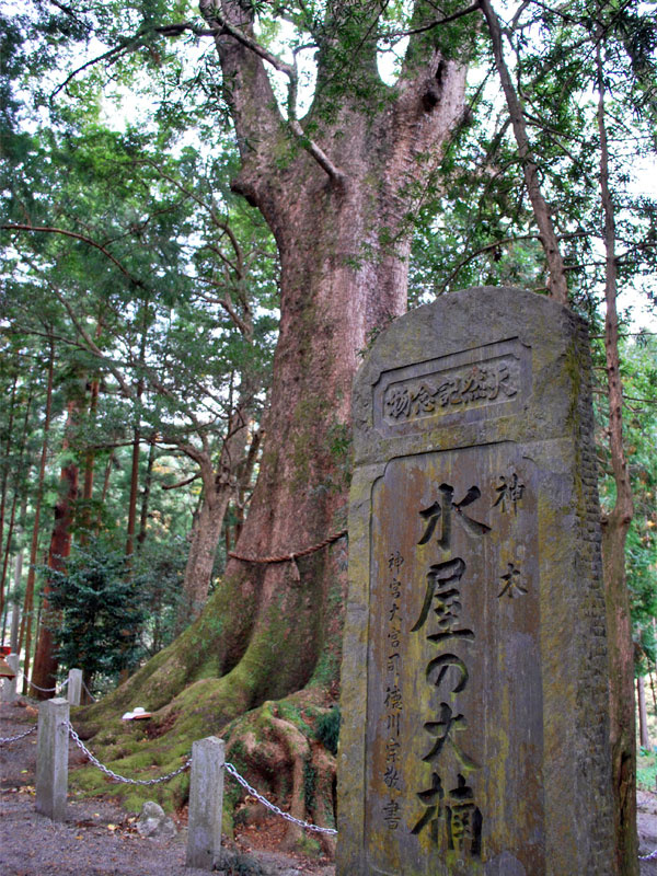 「巨木に会いに行こう。樹齢1000年以上を誇る水屋神社の大クス（三重）【車中泊女子の全国縦断記】」の2枚目の画像