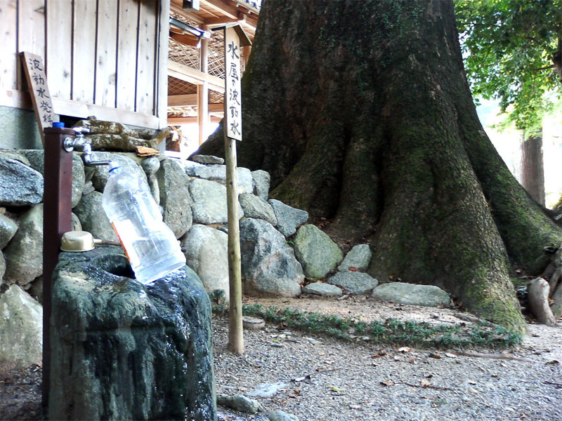 「巨木に会いに行こう。樹齢1000年以上を誇る水屋神社の大クス（三重）【車中泊女子の全国縦断記】」の5枚目の画像