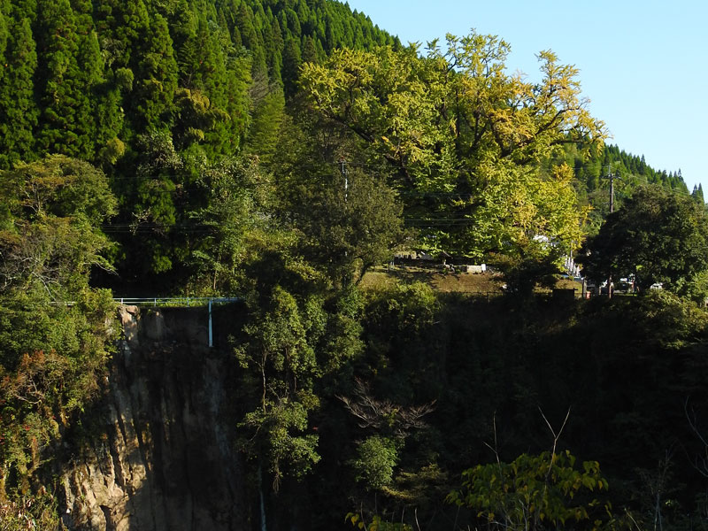 「巨木に会いに行こう。下城の大イチョウは今が黄葉の見頃です（熊本）【車中泊女子の全国縦断記】」の7枚目の画像