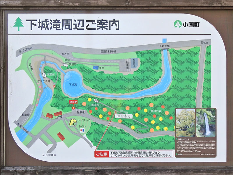 「巨木に会いに行こう。下城の大イチョウは今が黄葉の見頃です（熊本）【車中泊女子の全国縦断記】」の11枚目の画像